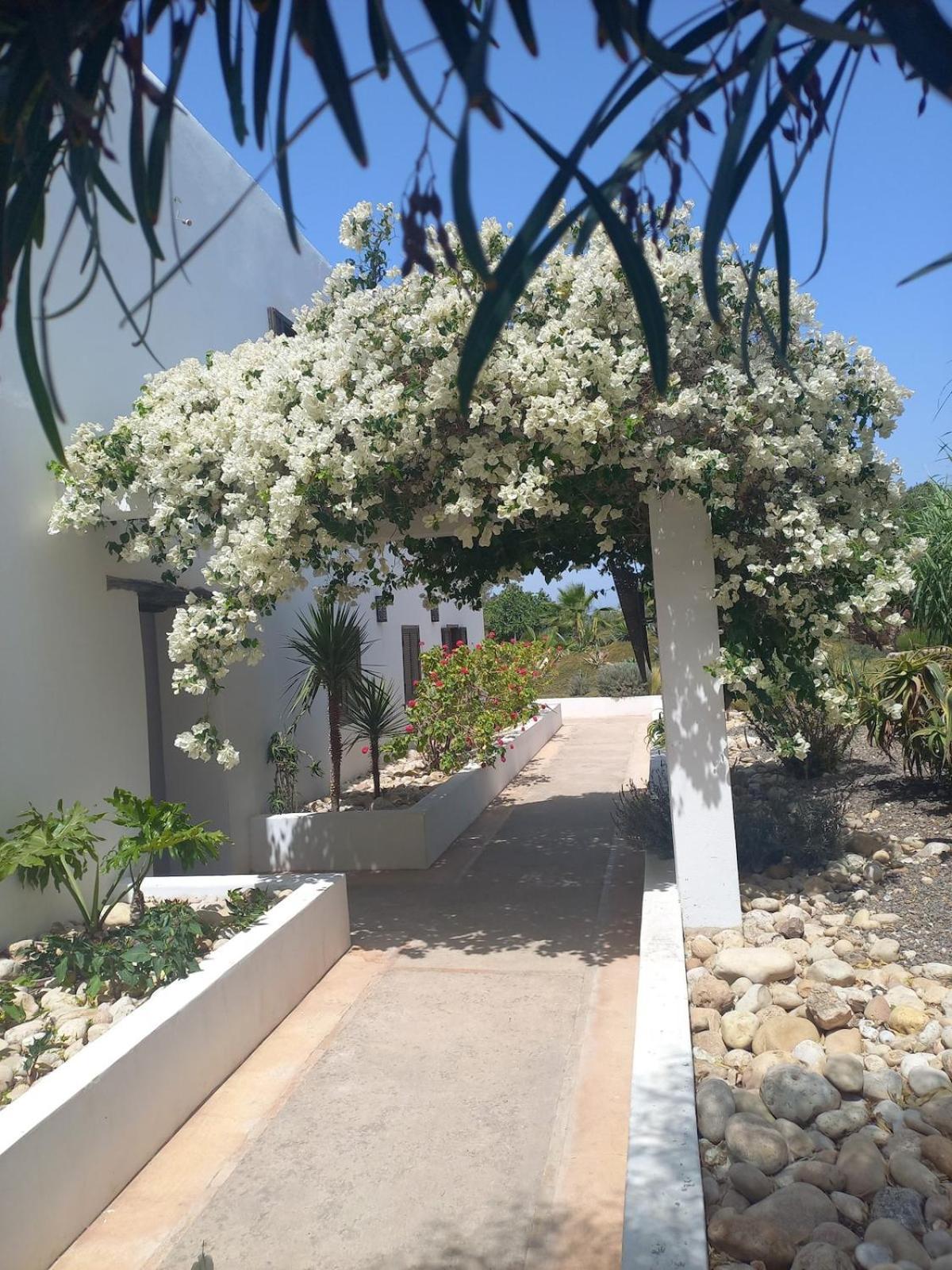 Les Jardins De Silona, Piscine Chauffee Hotel Szavíra Kültér fotó
